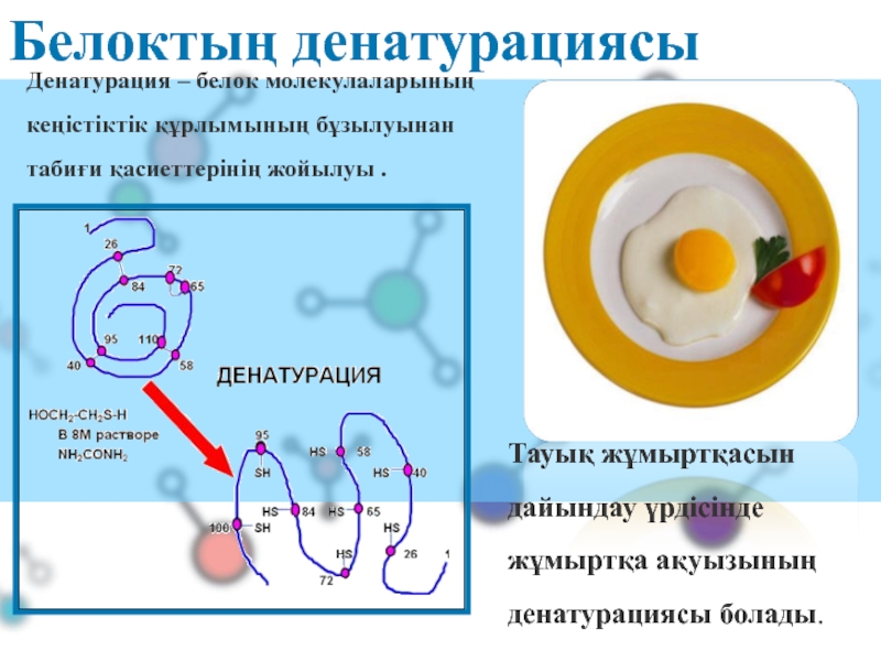 Денатурация белка картинка