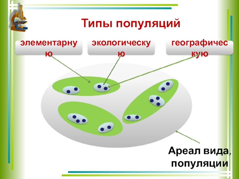 Виды популяций презентация