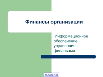 Финансы организации. Информационное обеспечение управления финансами