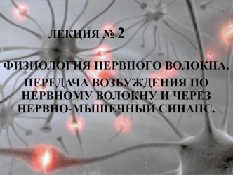 Физиология нервного волокна. Лекция № 2. Передача возбуждения по нервному волокну и через нервно-мышечный синапс