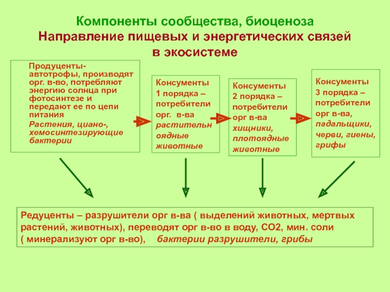 Хемосинтезирующие бактерии консументы. Автотрофы продуценты. Цепь питания с автотрофов. Преобразование энергии и веществ у автотрофов. Компоненты искусственного сообщества.