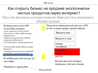 Шаблон. PDF-отчет. Как открыть бизнес на продаже экологически чистых продуктов,через интернет