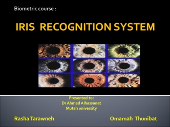 Iris recognition system