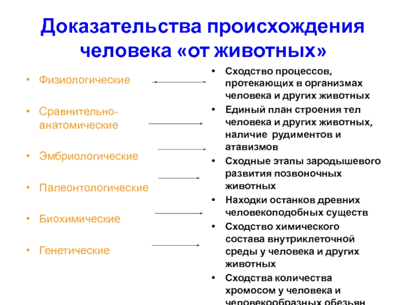 План происхождения человека