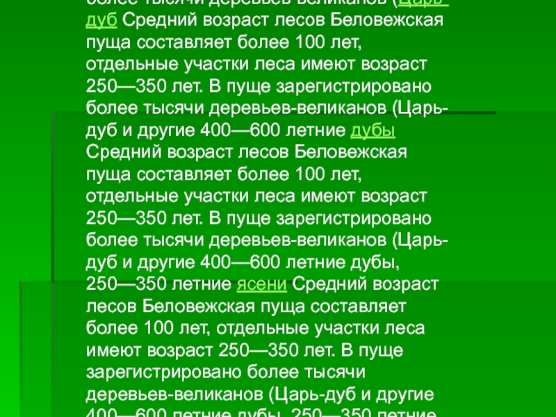 Песня пуща слова. Беловежская пуща текст. Беловежская пуща текси. Беловежская пуща слова текст. Беловежскаяауща текст.