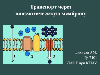 Транспорт через плазматическкую мембрану