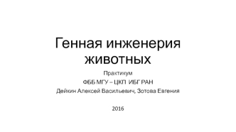 Генная инженерия животных