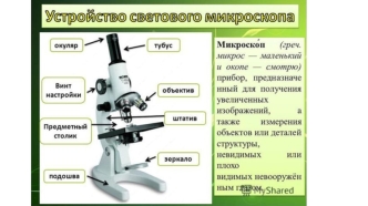 Устройство светового микроскопа