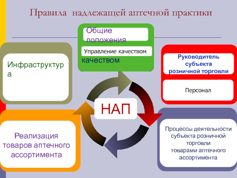 Организация практик