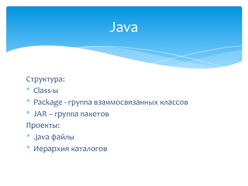 Из скольких ярусов может состоять еловый лес составьте схему работа в малых группах биология