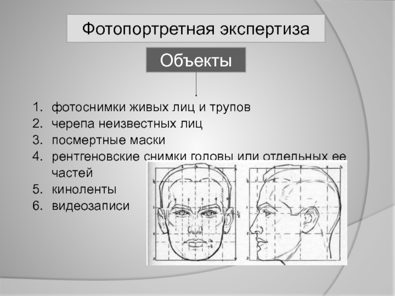 Внешность человека криминалистика. Фотопортретной экспертизе. Габитоскопия и Портретная экспертиза. Криминалистическая Портретная экспертиза. Фотопортретная экспертиза в криминалистике.