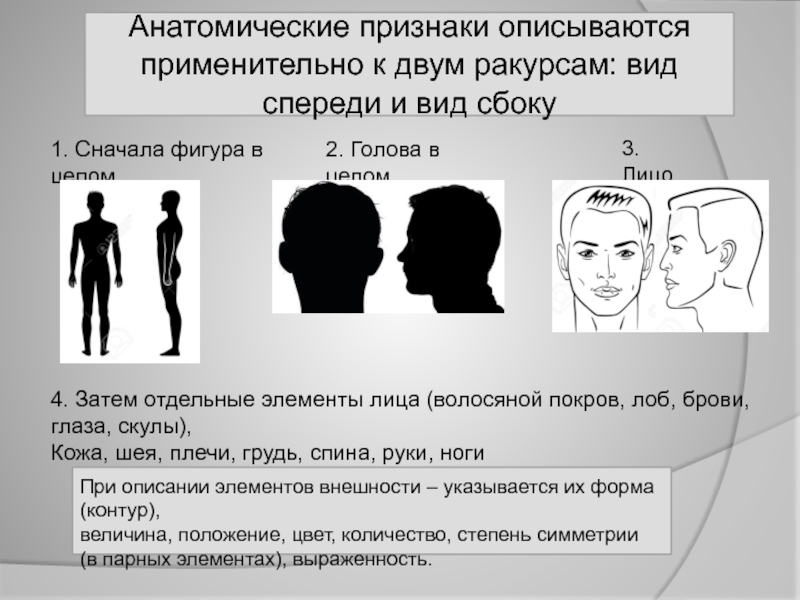 Описание человека по внешности по фотографии