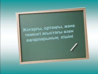 Жоєарєы, ортаѕєы, жјне тґменгі аєыстаєы ґзен аѕєарларыныѕ пішіні