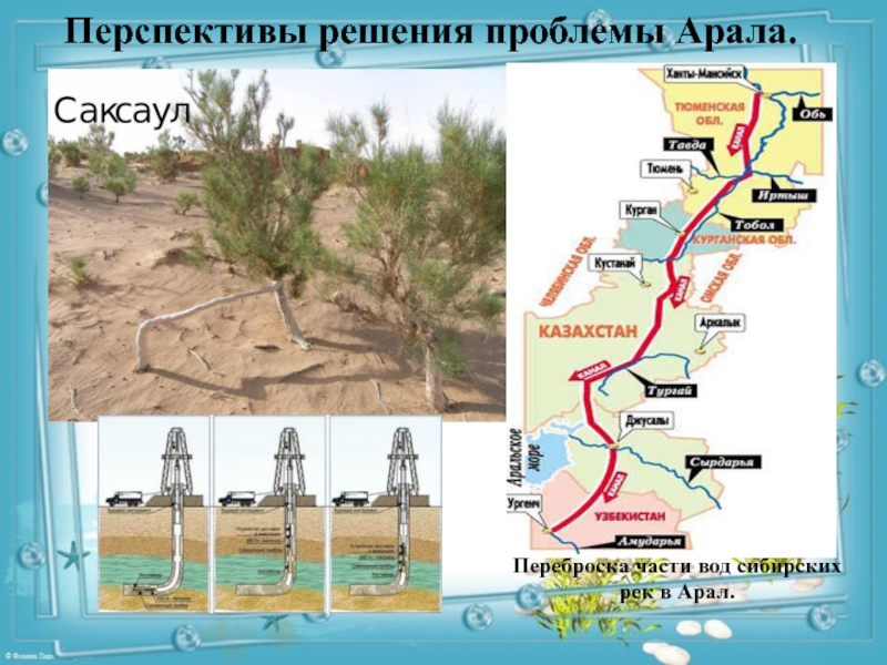 Проект разворота сибирских рек