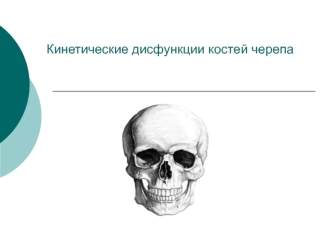 Кинетические дисфункции костей черепа. Кровообращение головного мозга. Черепно-мозговые нервы