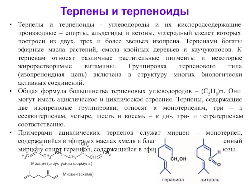 Презентация на тему терпены