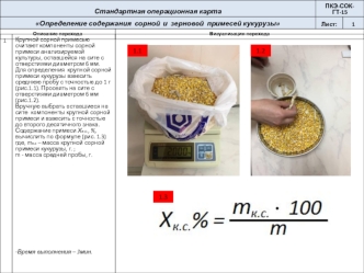 Определение сорной и зерновой примесей в кукурузе