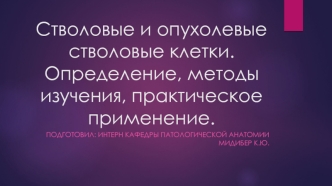 Стволовые и опухолевые стволовые клетки. Определение, методы изучения, практическое применение