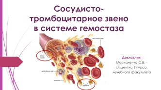 Сосудисто-тромбоцитарное звено в системе гемостаза