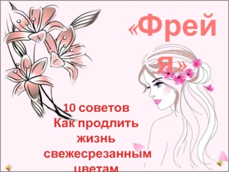 Фрейя. 10 советов, как продлить жизнь свежесрезанным цветам