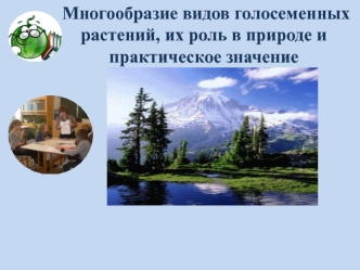 Многообразие видов голосеменных растений, их роль в природе и практическое значение