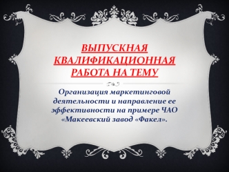 Организация маркетинговой деятельности и направление ее эффективности на примере ЧАО Макеевский завод Факел