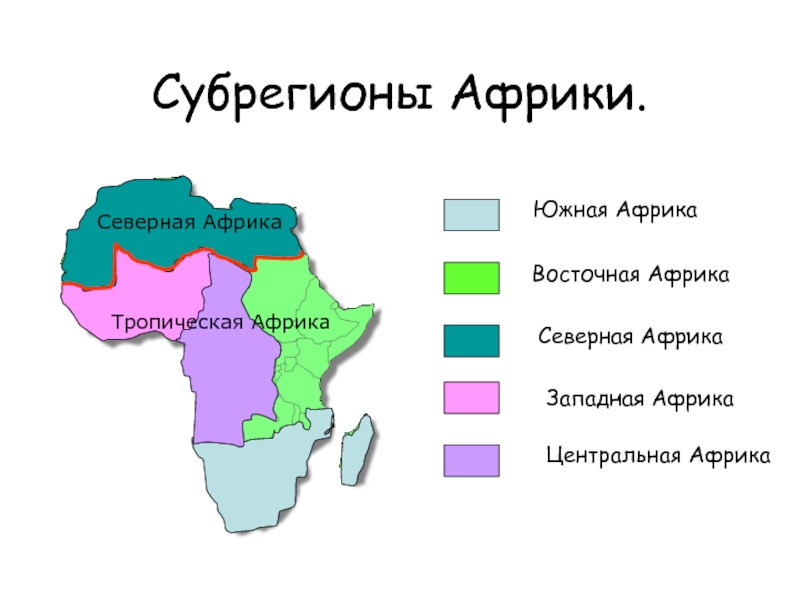 Остальные республики африки какие. Субрегионы Африки 11 класс. Субрегионы Северной и тропической Африки 11 класс. Границы субрегионов Африки на контурной карте. Субрегионы ЮАР И тропической Африки.