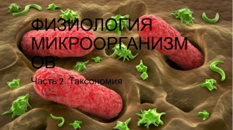 Физиология микроорганизмов. Таксономия. (Часть 2)