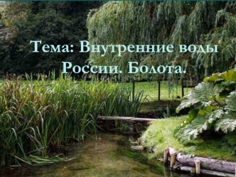 Внутренние воды России. Болота