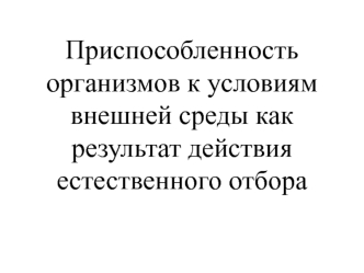 Приспособленность организмов к условиям внешней среды как результат действия естественного отбора