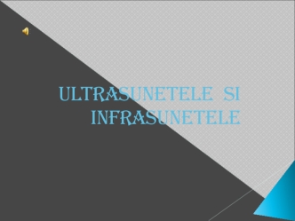 Ultrasunetele si infrasunetele