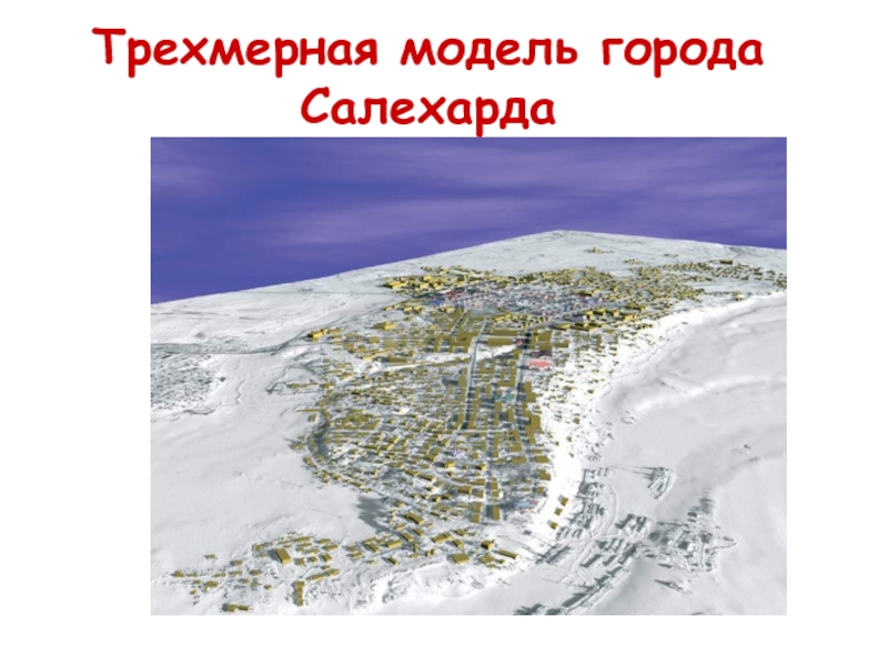 Трехмерная модель города Салехарда