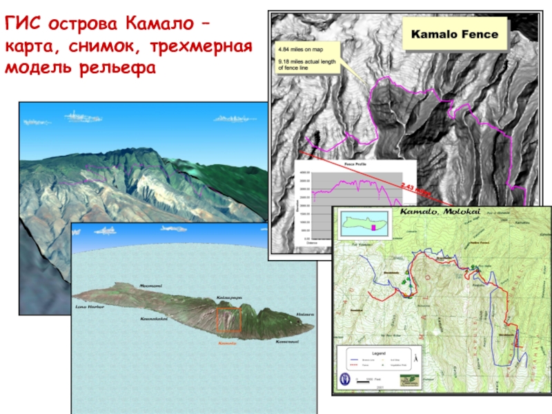 ГИС острова Камало – карта, снимок, трехмерная модель рельефа