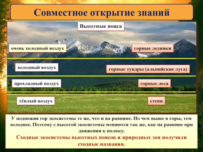 Расставьте подписи природных зон на изображении пояс вечных снегов пояс горных тундр таежный пояс