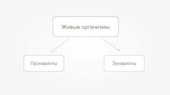 Живые организмы. Эукариоты и прокариоты