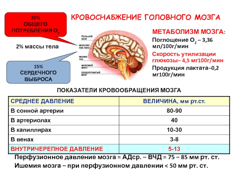 Давление головное повышено. Таблица нормы внутричерепного давления. Нормальные показатели внутричерепного давления. Внутричерепное давление показатели норма. Внутреннее черепное давление.