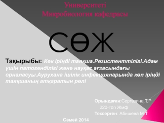 Көк іріңді таяқша. Резистенттілігі. Адам үшін патогенділігі және науқас ағзасындағы орналасуы