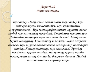 Тері өңдеу. Өндірістік бағыттағы тері өңдеу.Тері консервілеудің қажеттілігі. Тері қабатының морфологиясы. (Дәріс 9-10)