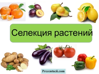 Селекция растений