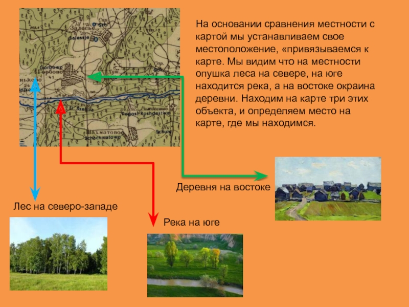 Карта местности лес. Прохождение государственной границы на местности. Что за местность. Где находится деревня Лесная на карте.