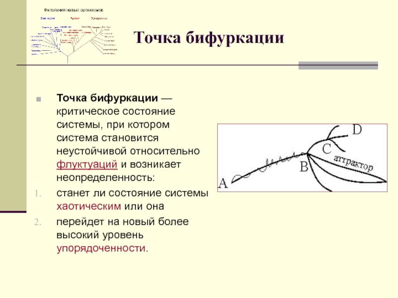 Точка бифуркации vi дейлор смит