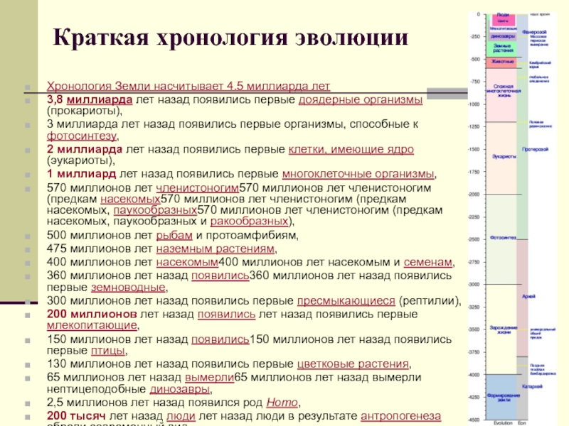 Презентация по истории хронология