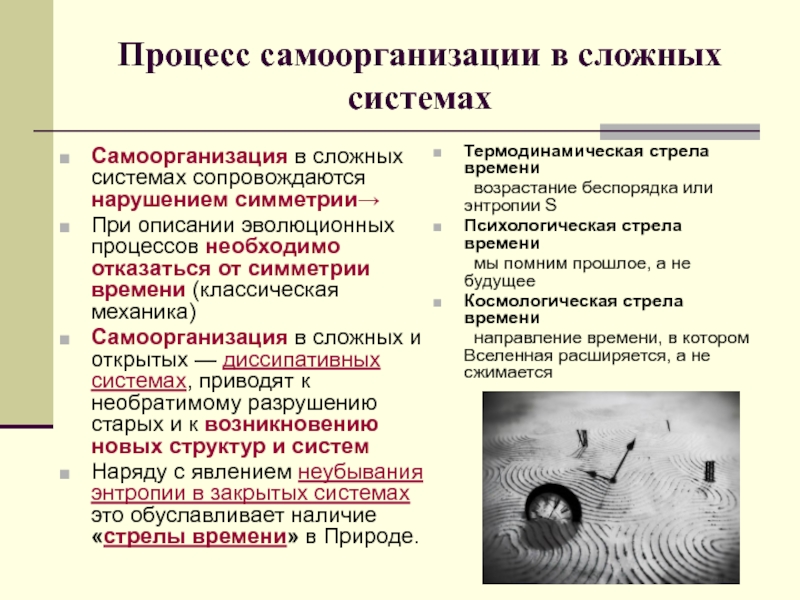 Теория самоорганизации сложных