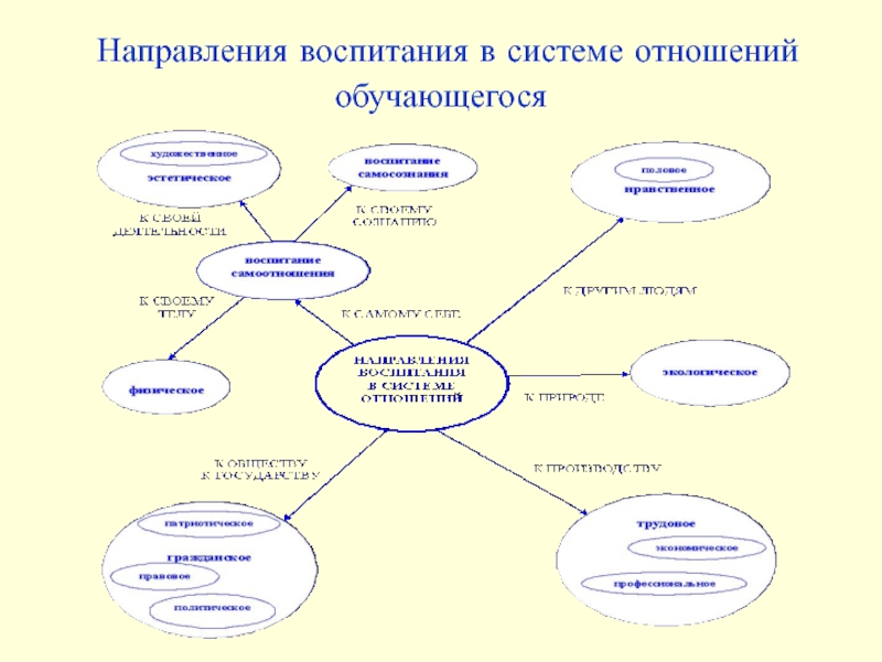 Стороны воспитания. Направления воспитания презентация. Направления воспитательного процесса. Направления воспитания в педагогике. Направления воспитательной системы.