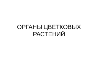 Органы цветковых растений