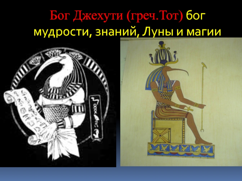 Бог мудрости. Джехути Бог. Бог знаний и мудрости. Бог мудрости Джехути. Богиня знаний и мудрости.