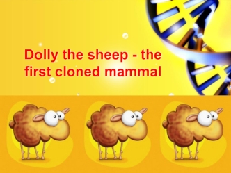 Dolly the sheep - the first cloned mammal