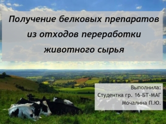 Получение белковых препаратов из отходов переработки животного сырья