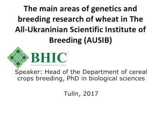 The main areas of genetics and breeding research of wheat in The All-Ukraninian Scientific Institute of Breeding