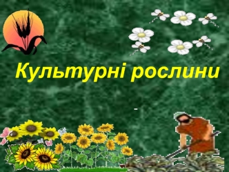 Культурні рослини